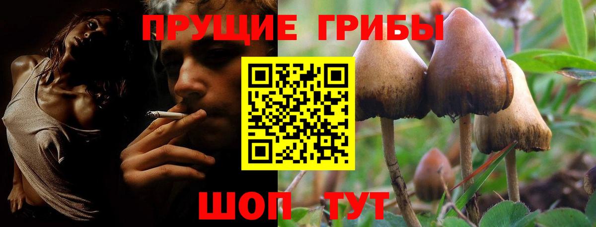 наркошоп  Вход с VPN  Прохладный  Псилоцибиновые грибы ЛСД 